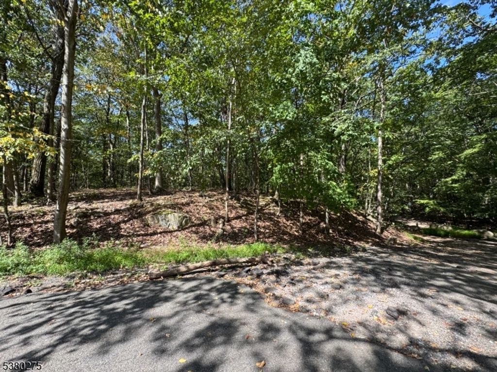 802 Brooklyn Mountain Rd, Hopatcong Boro, NJ 07843 — photo 4