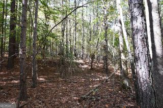00001 Poplar Springs Road, Buchanan, GA 30113