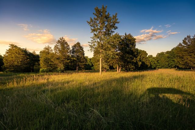 2099 Gentle Rd, Lewisburg, TN 37091