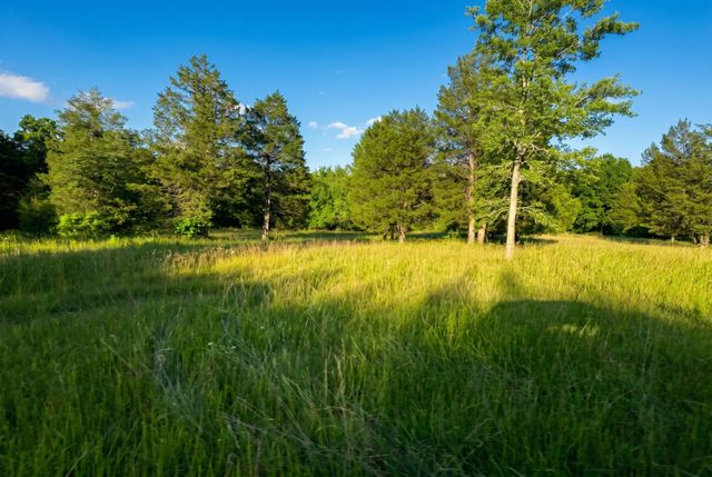 2099 Gentle Rd, Lewisburg, TN 37091