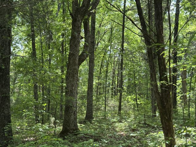 2099 Gentle Rd, Lewisburg, TN 37091