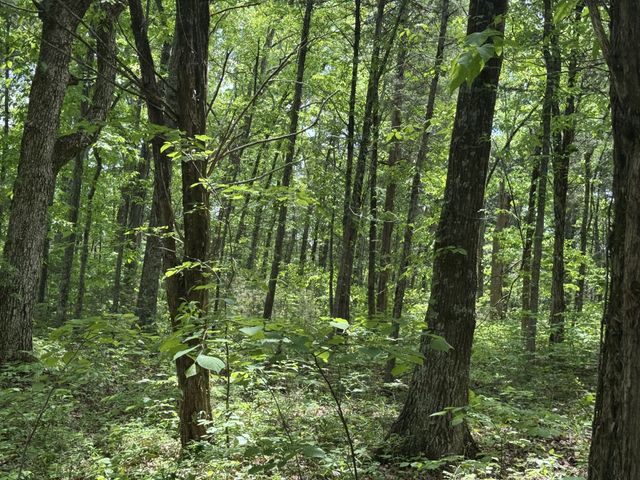 2099 Gentle Rd, Lewisburg, TN 37091