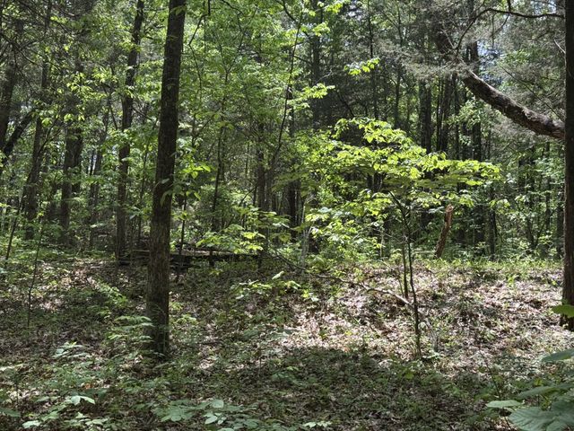 2099 Gentle Rd, Lewisburg, TN 37091
