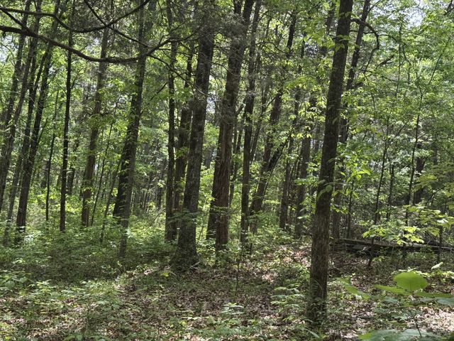 2099 Gentle Rd, Lewisburg, TN 37091