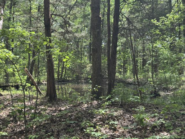 2099 Gentle Rd, Lewisburg, TN 37091