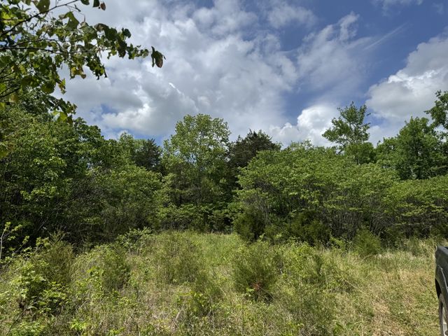 2099 Gentle Rd, Lewisburg, TN 37091