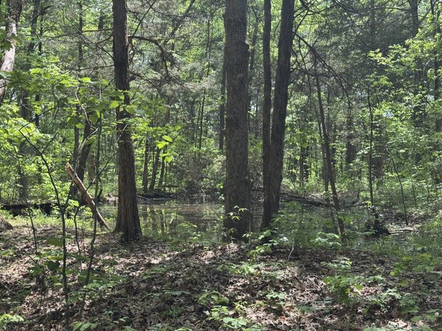 2099 Gentle Rd, Lewisburg, TN 37091