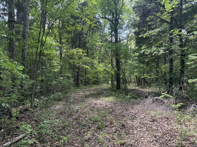 2099 Gentle Rd, Lewisburg, TN 37091