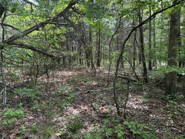 2099 Gentle Rd, Lewisburg, TN 37091