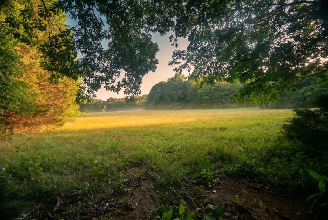 2099 Gentle Rd, Lewisburg, TN 37091