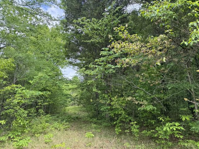 2099 Gentle Rd, Lewisburg, TN 37091