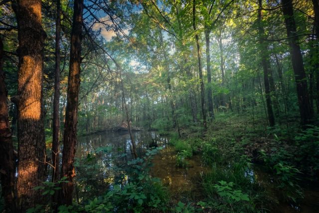 2099 Gentle Rd, Lewisburg, TN 37091