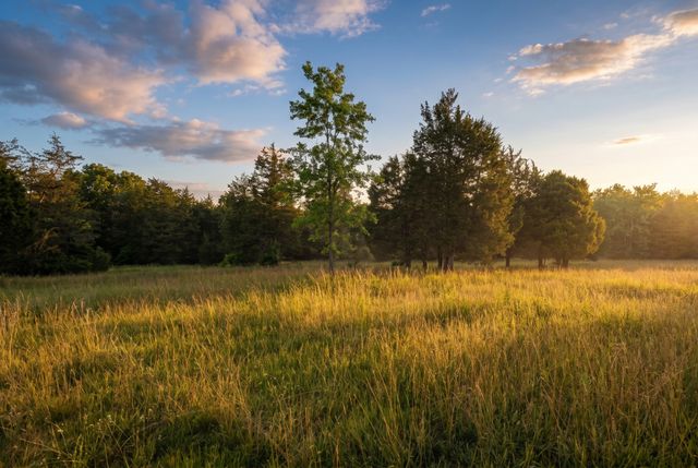 2099 Gentle Rd, Lewisburg, TN 37091