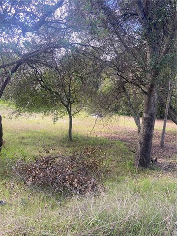 7005 Marin Street, Nice, CA 95464