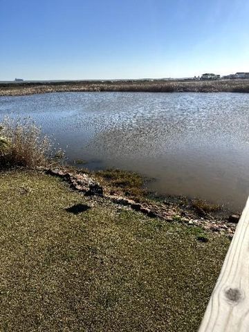 000 Francis Cove, Surfside Beach, TX 77541