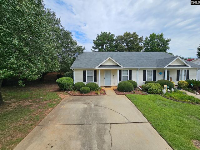 126 Fair Haven Way, Chapin, SC 29036