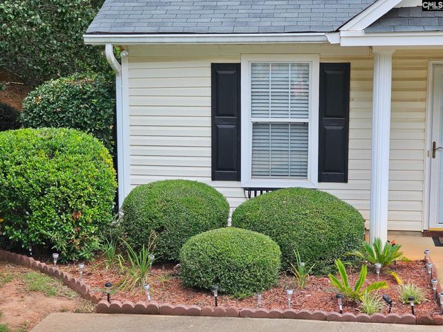 126 Fair Haven Way, Chapin, SC 29036