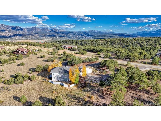 12857 County Road 261k, Nathrop, CO 81236