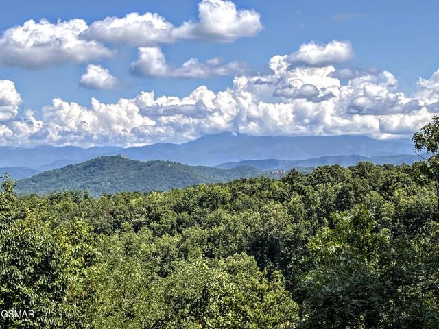1902 Bluff Ridge Road, Sevierville, TN 37876