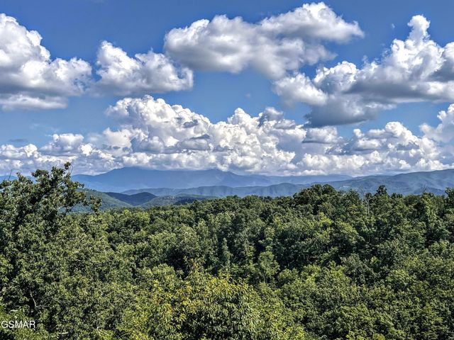 1902 Bluff Ridge Road, Sevierville, TN 37876