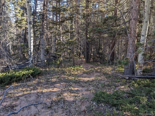 3067 Forbes Park Loop, Fort Garland, CO 81133