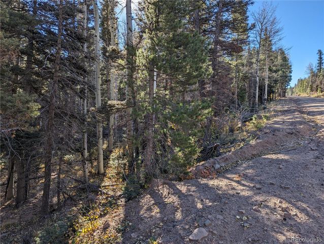 3067 Forbes Park Loop, Fort Garland, CO 81133