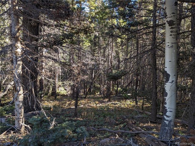 3067 Forbes Park Loop, Fort Garland, CO 81133