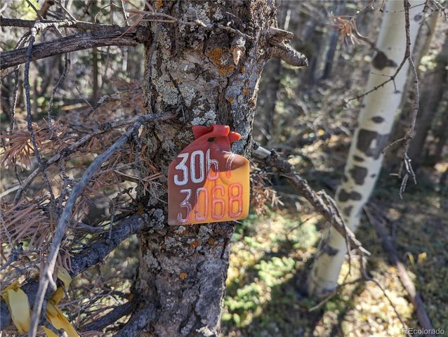 3067 Forbes Park Loop, Fort Garland, CO 81133