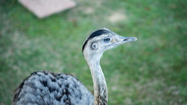 11342 La Hwy 955, Ethel, LA 70730