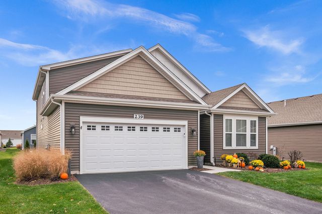 239 Durham Street, North Aurora, IL 60542
