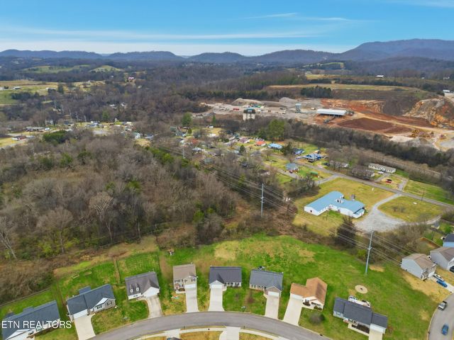 2125 Bluebonnet Drive, Mascot, TN 37806