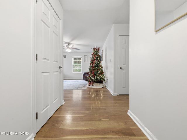 2125 Bluebonnet Drive, Mascot, TN 37806