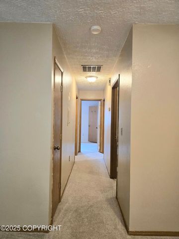 1120 China Berry Circle, 0162874100001, Anchorage, AK 99515