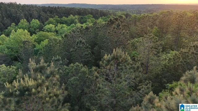 90 COUNTY ROAD 478, Leeds, AL 35094