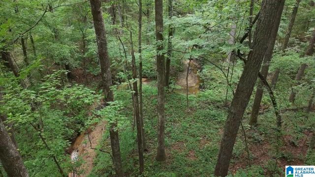 90 COUNTY ROAD 478, Leeds, AL 35094