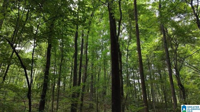 90 COUNTY ROAD 478, Leeds, AL 35094