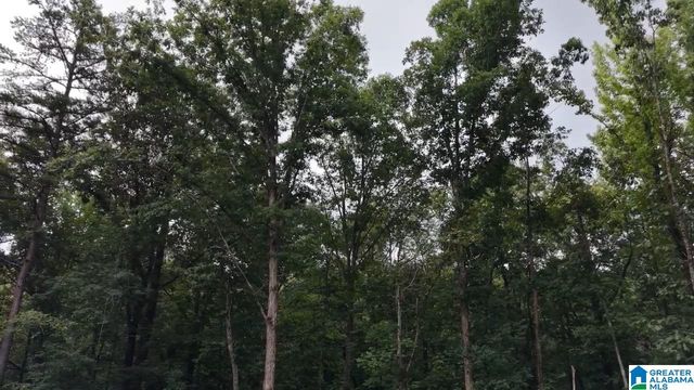 90 COUNTY ROAD 478, Leeds, AL 35094