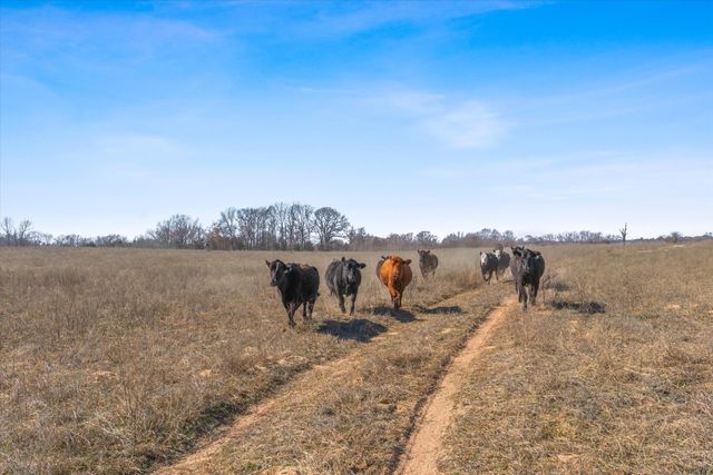 TBD VZ County Road 2317 Tract 6, Canton, TX 75103