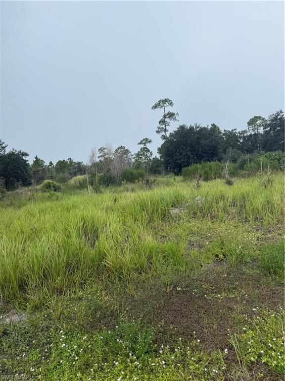 1005 Michael AVE, LEHIGH ACRES, FL 33936 — exterior