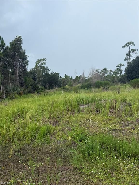 1005 Michael AVE, LEHIGH ACRES, FL 33936 — photo 2
