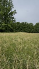 0 Riverview Road, Mount Juliet, TN 37122