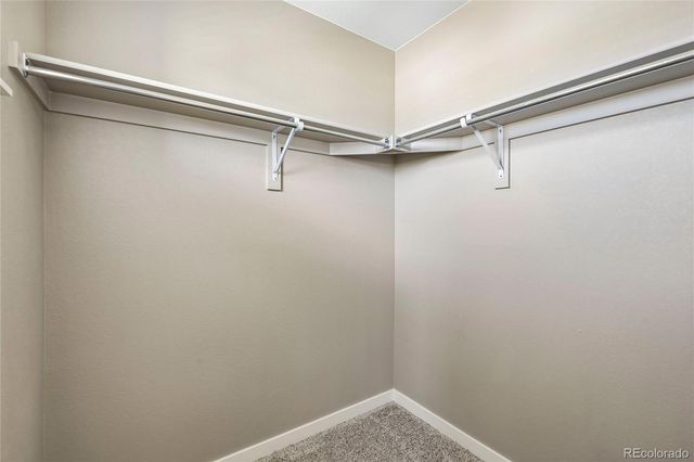2398 Pineywoods Street, Mead, CO 80542