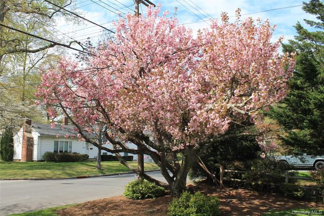 46 Reynal Road, White Plains, NY 10605