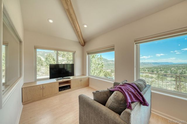 37643 Lake View Drive, Buena Vista, CO 81211