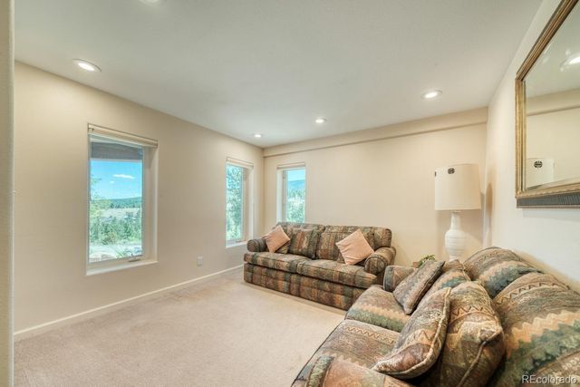 37643 Lake View Drive, Buena Vista, CO 81211