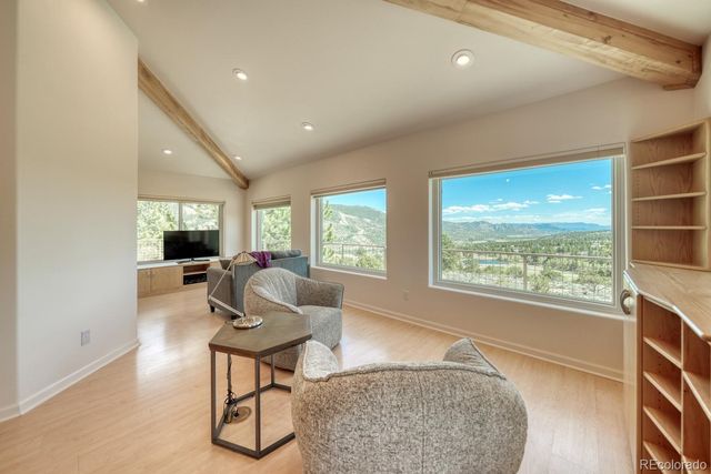 37643 Lake View Drive, Buena Vista, CO 81211