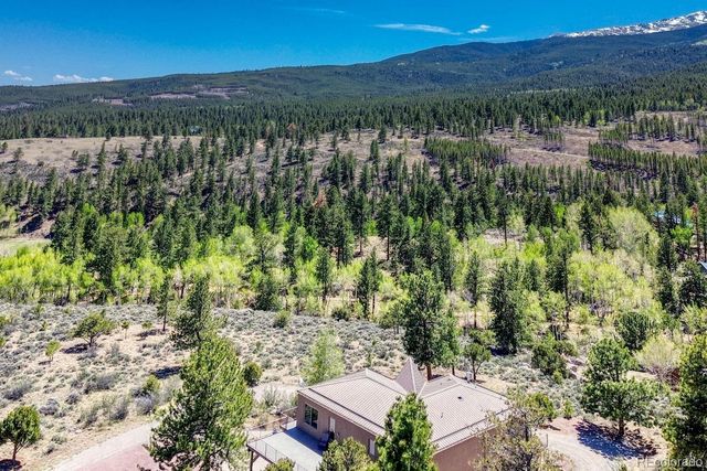 37643 Lake View Drive, Buena Vista, CO 81211