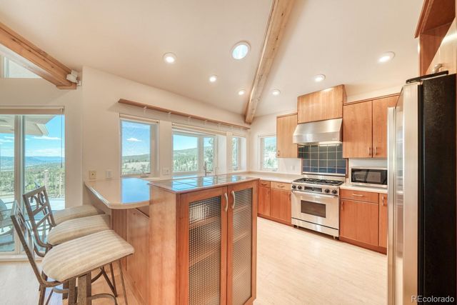 37643 Lake View Drive, Buena Vista, CO 81211