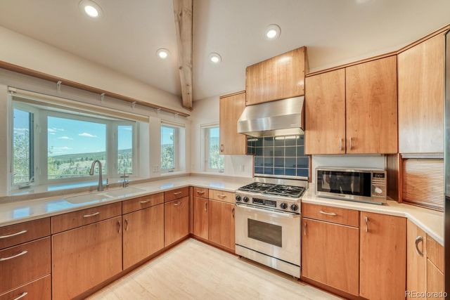 37643 Lake View Drive, Buena Vista, CO 81211