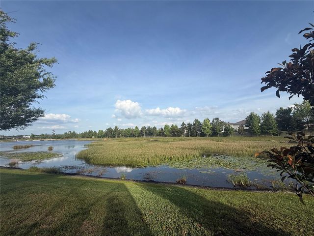 19186 BLUE POND DRIVE, Lutz, FL 33558